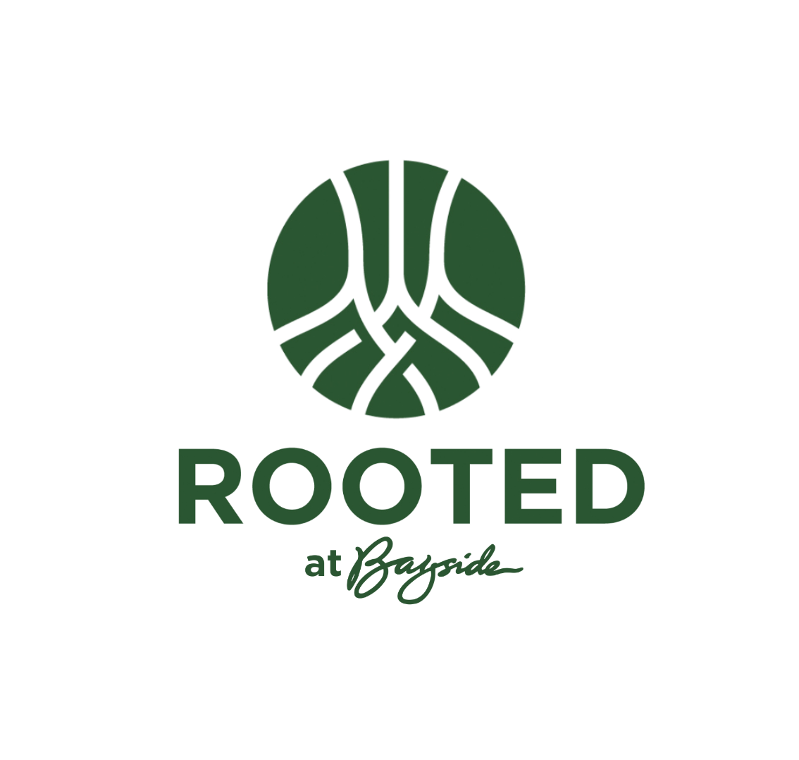 Become a Rooted Facilitator